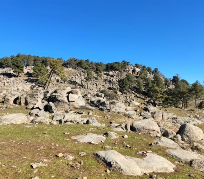 Ruta de Árboles Singulares
