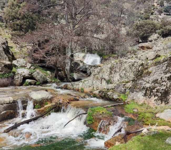 Ruta de Árboles Singulares