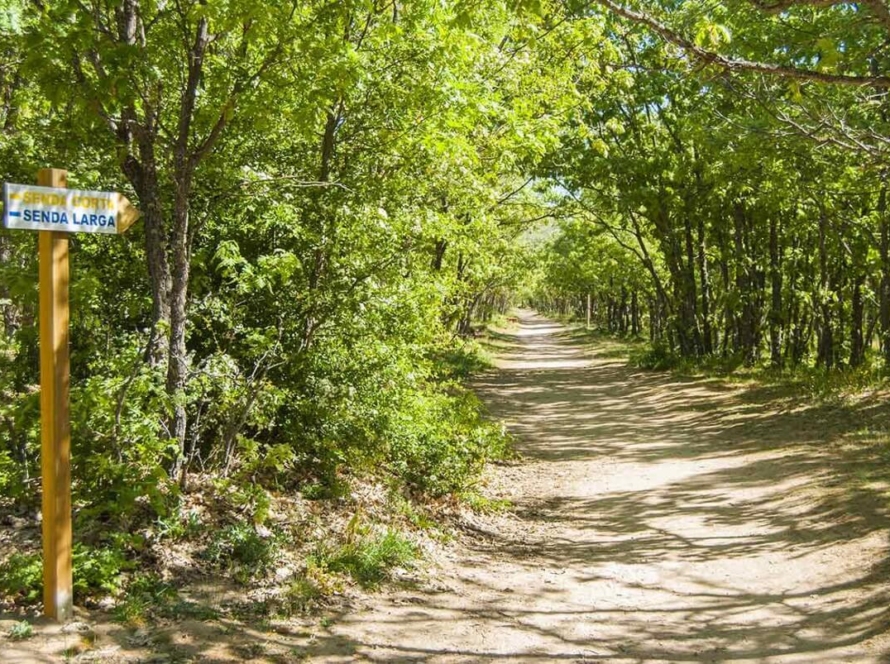 Ruta de Las Esculturas