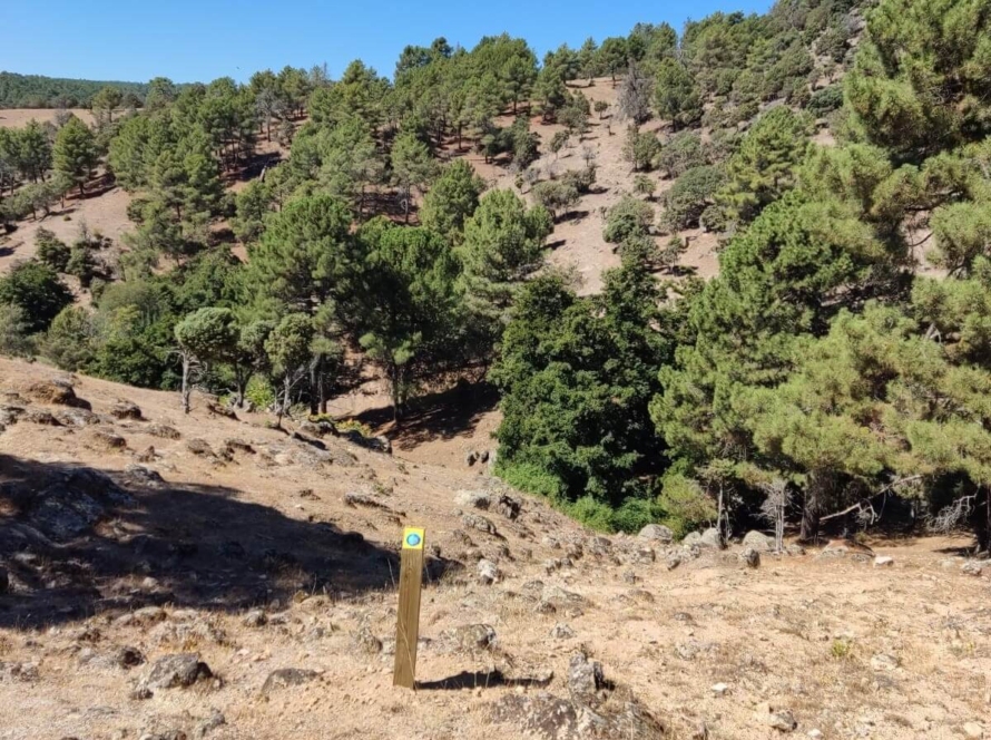 Ruta Estelar