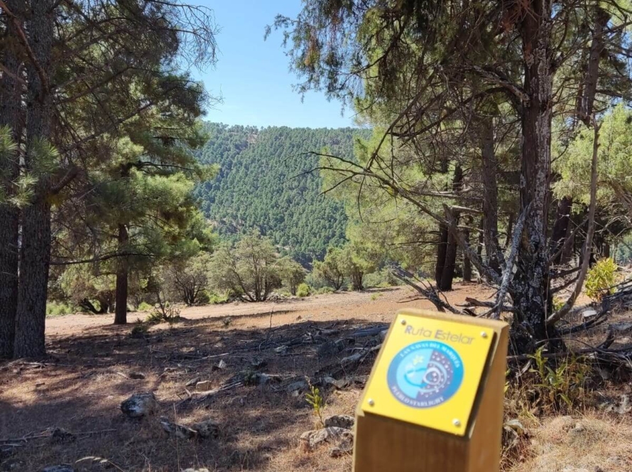 Ruta Estelar