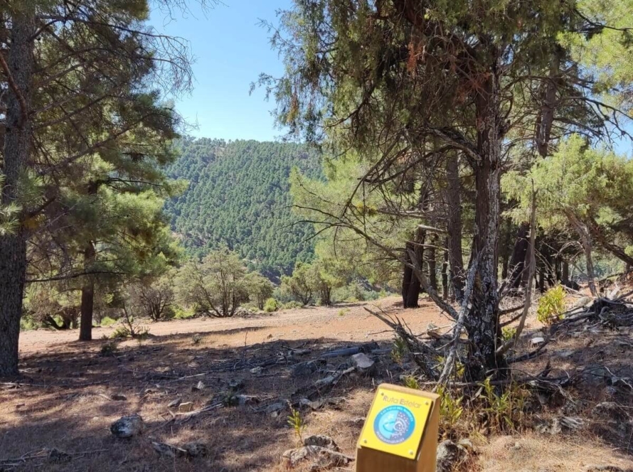 Ruta Estelar