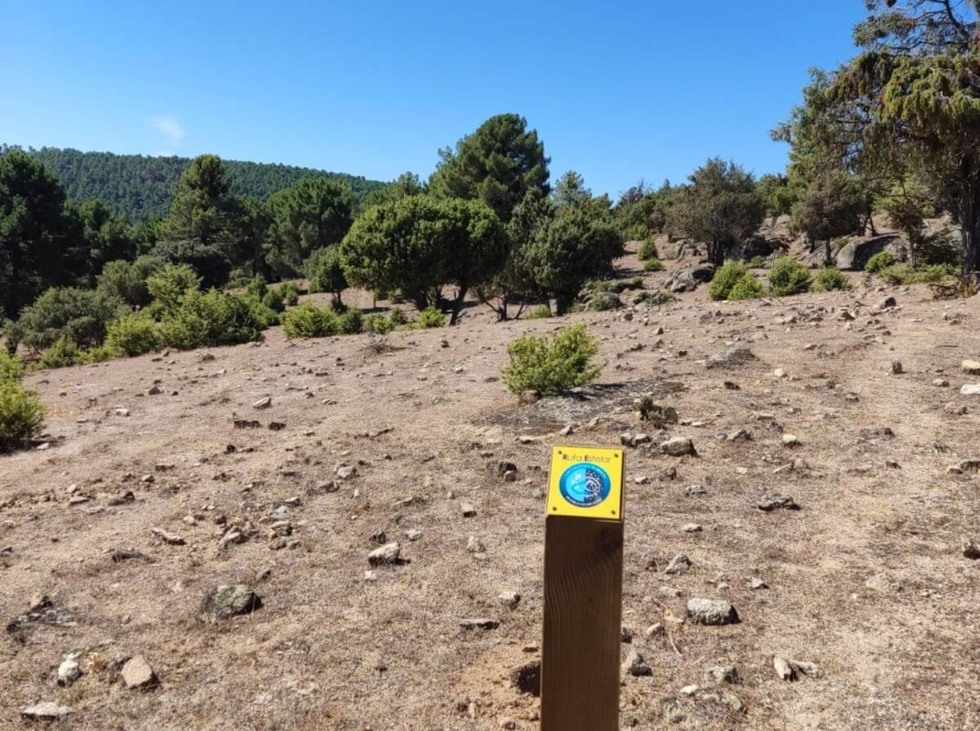 Ruta Estelar