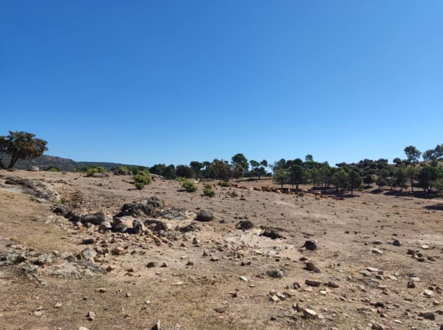 Ruta Estelar