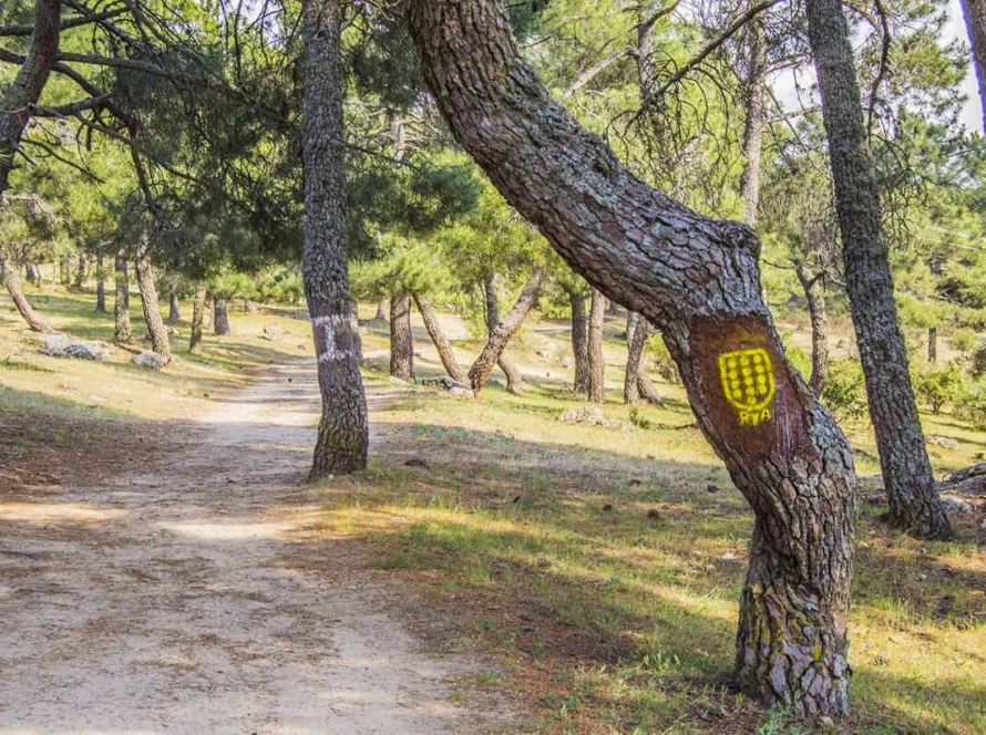 Ruta de Riscos y Atalayas