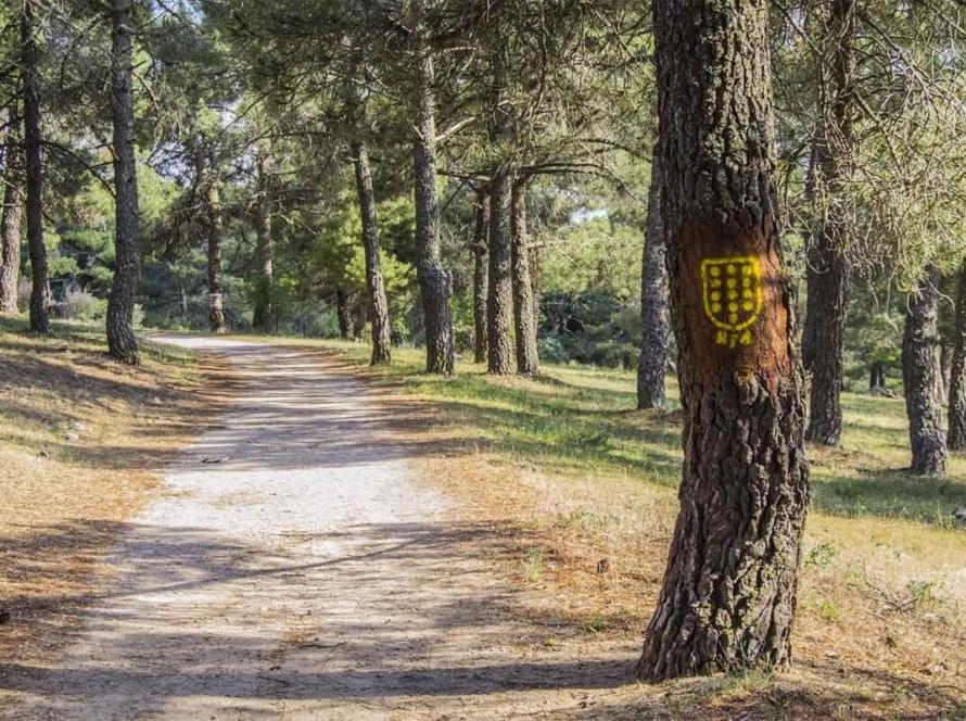 Ruta de Riscos y Atalayas