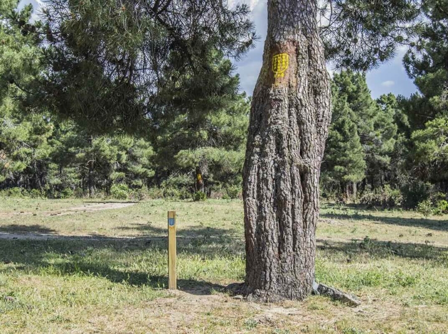 Ruta de Riscos y Atalayas