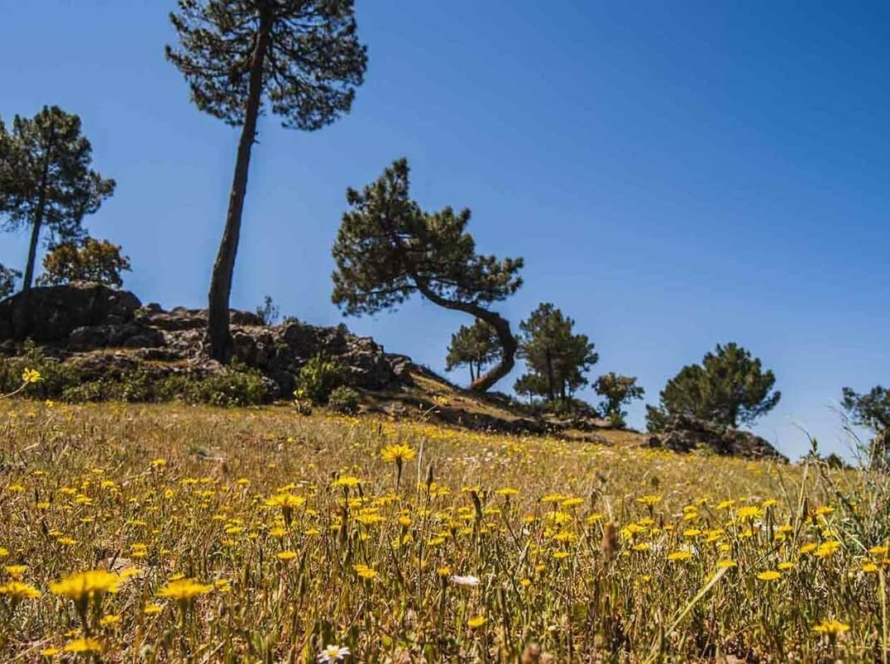 Ruta de Riscos y Atalayas