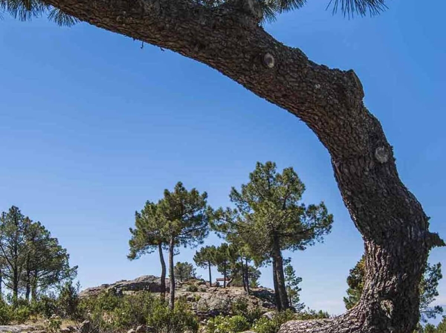 Ruta de Riscos y Atalayas