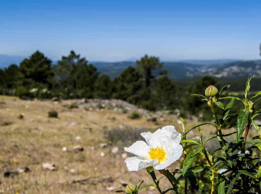 Ruta de Riscos y Atalayas