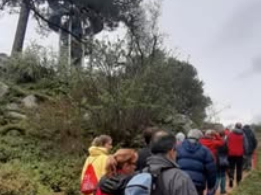 Rutas de senderismo guiadas