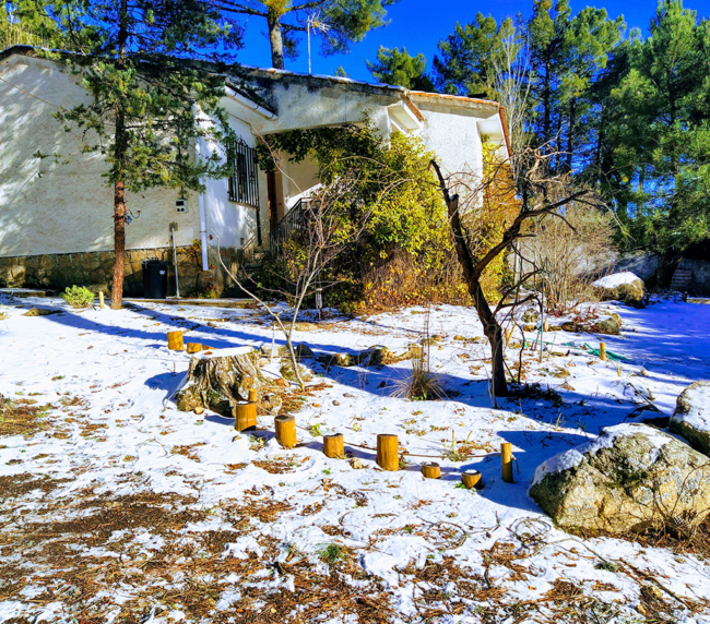 Casa del bosque 1
