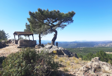 Los Picozos. Peña Rubia